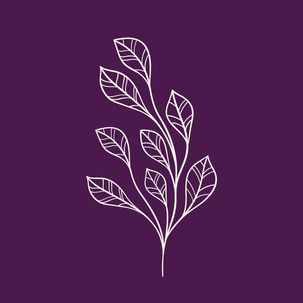 Logo/Brand Illustration für Naturfrisörin